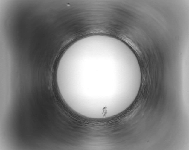 X0000094370207200711020800