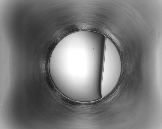 X0000094370209200711020800