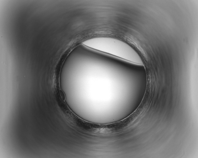 X0000094370212200711020800