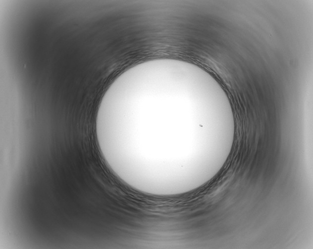 X0000094370215200711020800