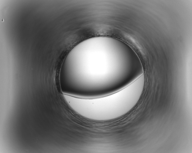 X0000094370217200711020800
