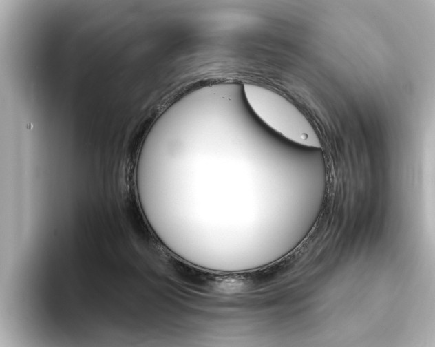 X0000094370218200711020800
