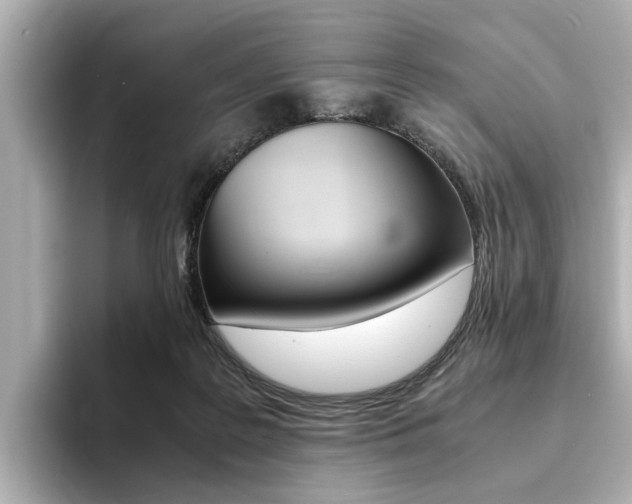X0000094370219200711020800