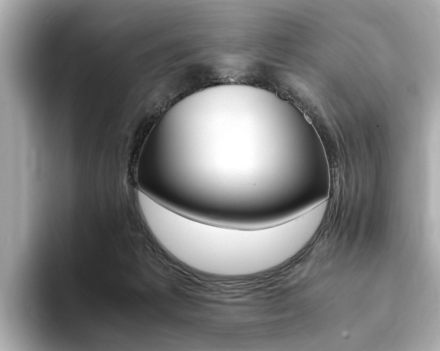 X0000094370221200711020800