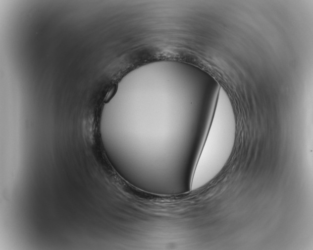 X0000094370223200711020800