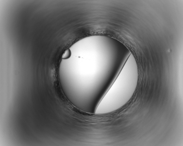 X0000094370224200711020800