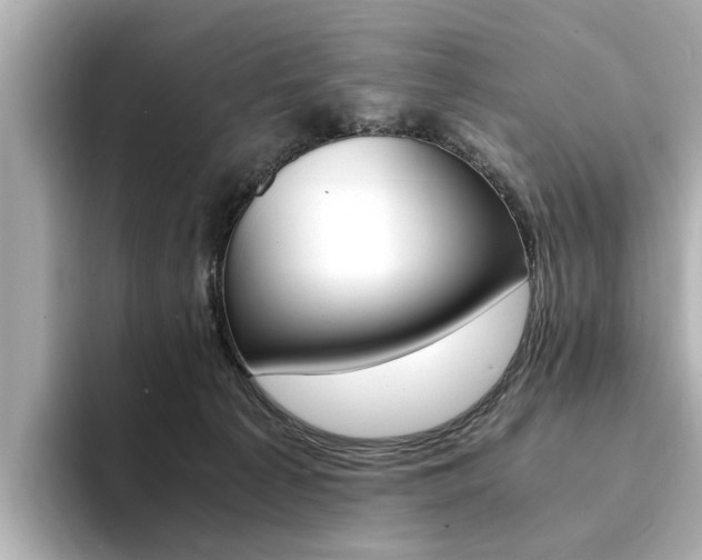 X0000094370225200711020800