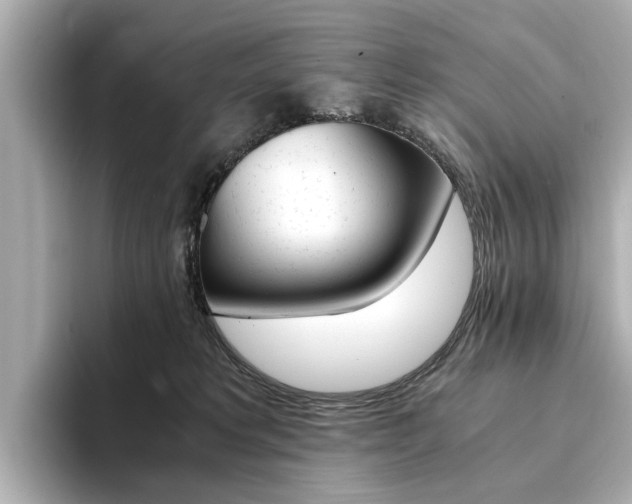 X0000094370229200711020800