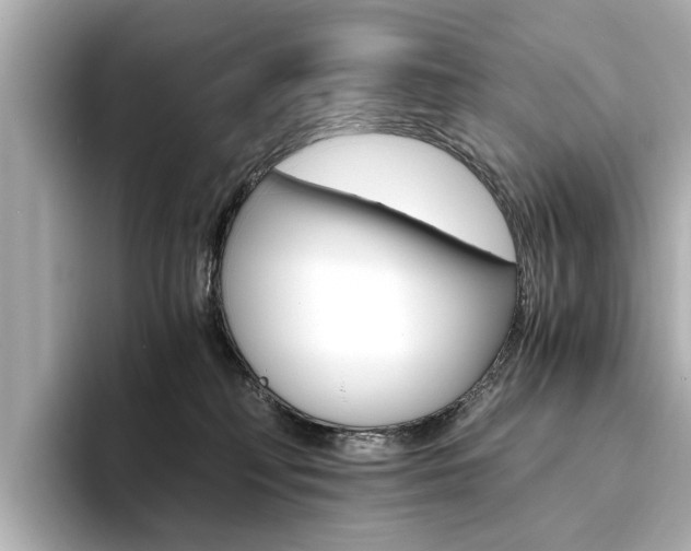 X0000094370230200711020800