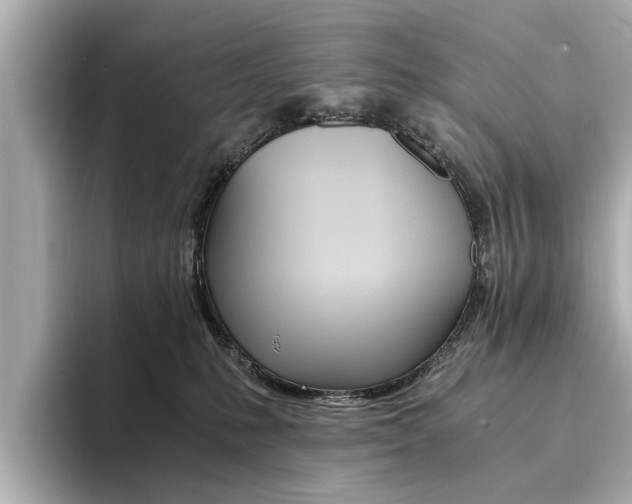 X0000094370231200711020800