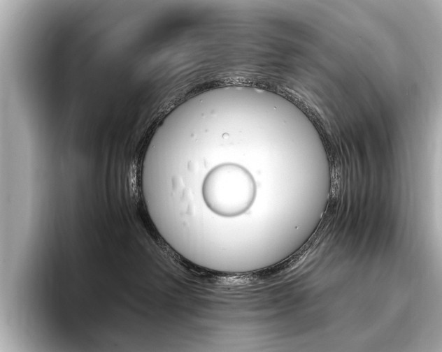 X0000094370238200711020759
