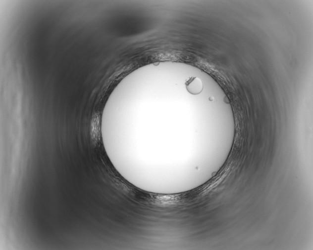 X0000094370240200711020759