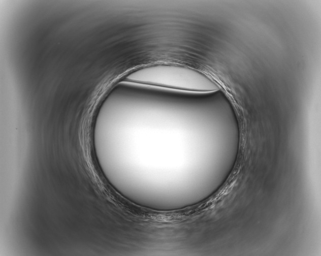 X0000094370241200711020759