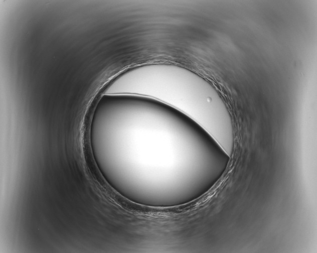 X0000094370242200711020759