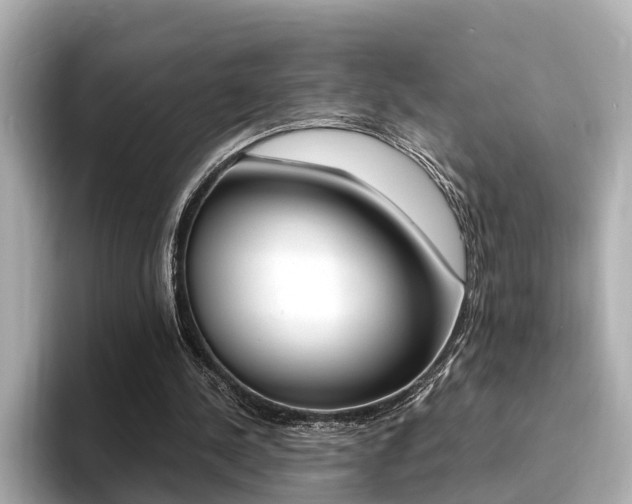 X0000094370244200711020759