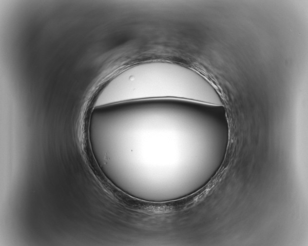 X0000094370245200711020759