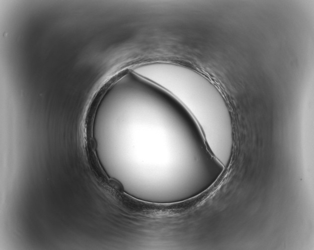 X0000094370246200711020759