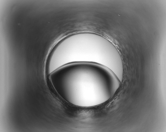 X0000094370248200711020759