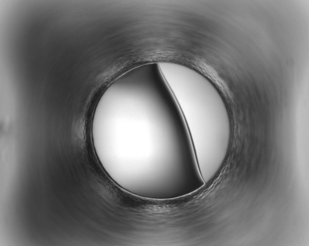 X0000094370250200711020759