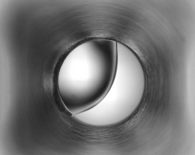 X0000094370252200711020759