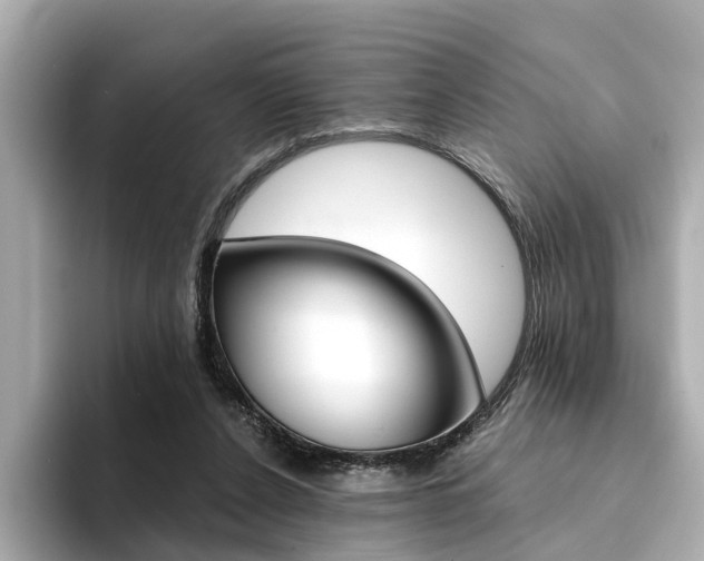 X0000094370256200711020759