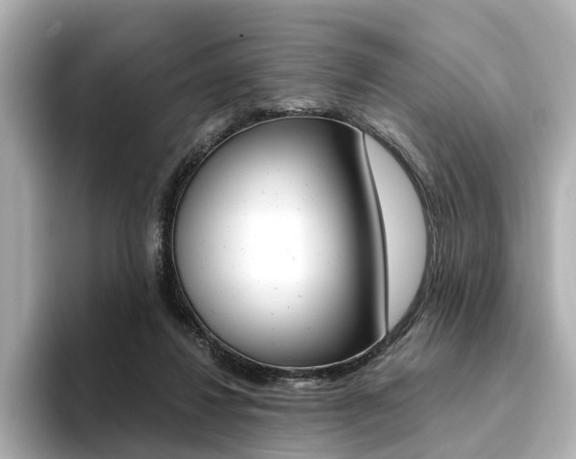X0000094370260200711020759