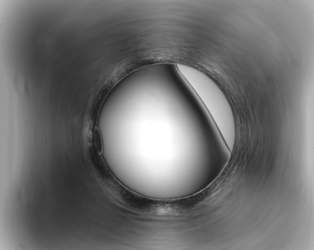 X0000094370264200711020759