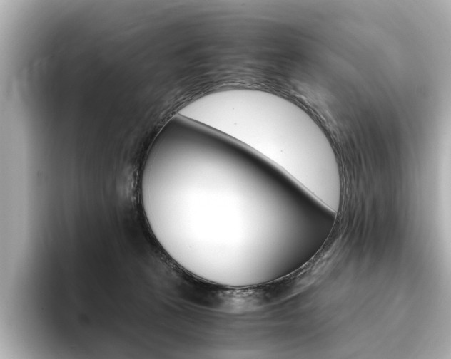 X0000094370273200711020759