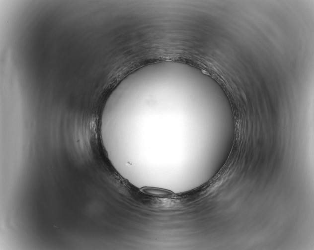 X0000094370286200711020759