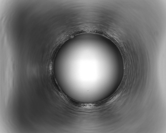 X0000094370288200711020759