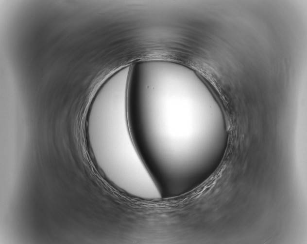 X0000094370289200711020759
