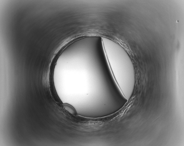 X0000094370292200711020759