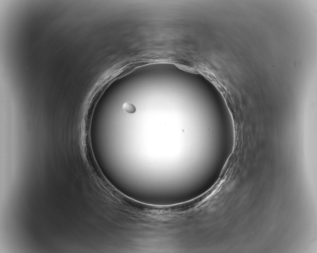 X0000094370293200711020759