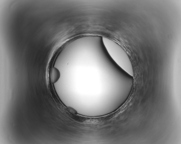 X0000094370294200711020759