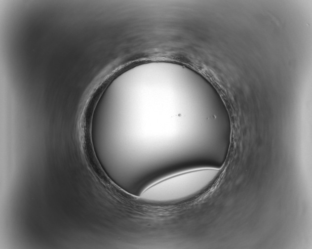 X0000094370295200711020759
