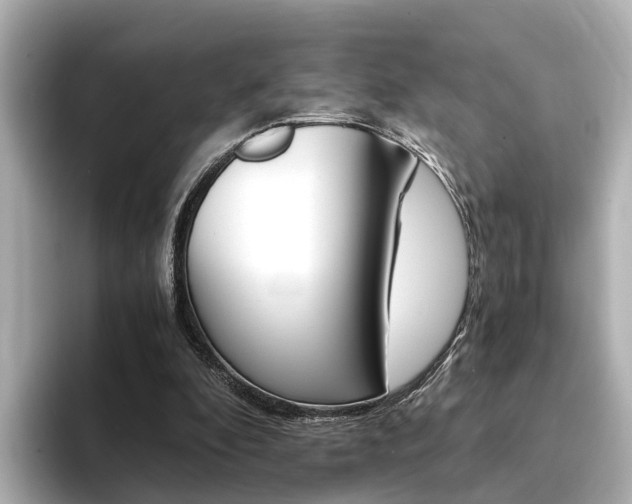 X0000094370296200711020759