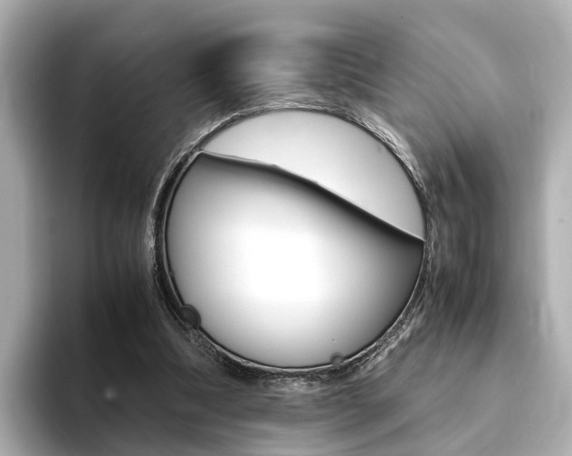 X0000094370298200711020759