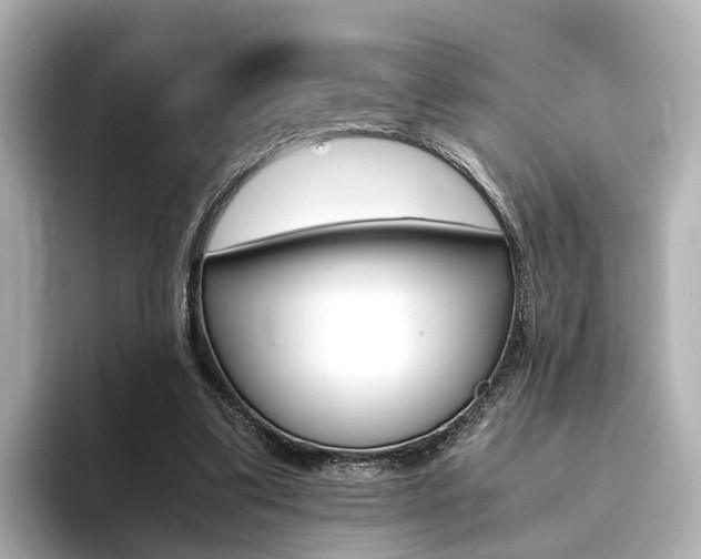 X0000094370299200711020759