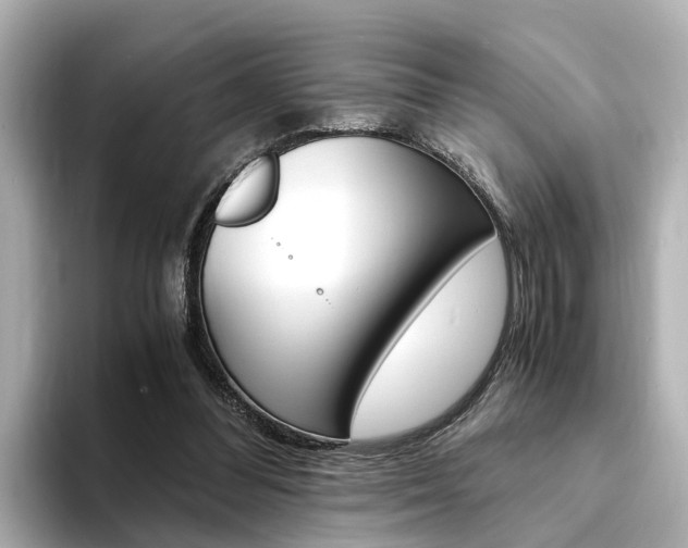 X0000094370300200711020759