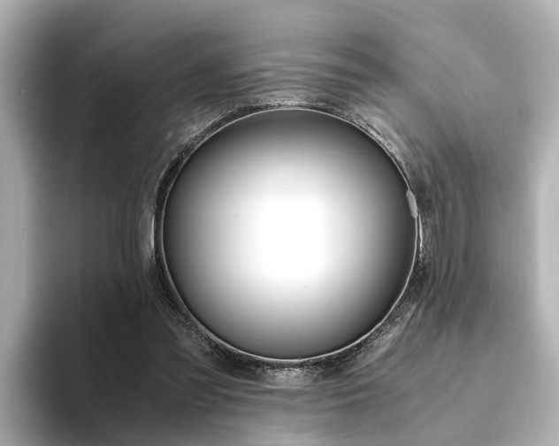 X0000094370301200711020759