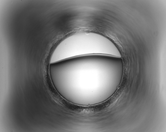 X0000094370303200711020759