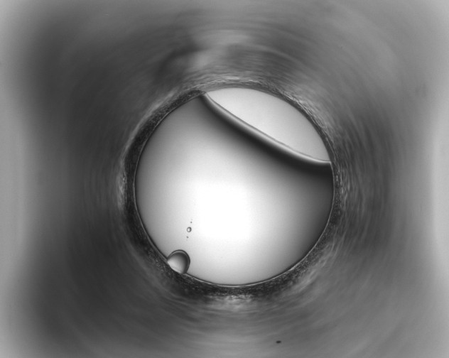 X0000094370304200711020759