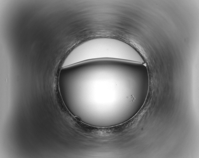 X0000094370305200711020759