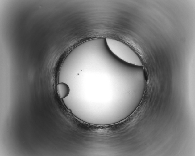 X0000094370306200711020759