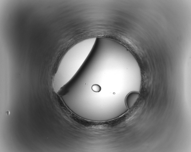 X0000094370307200711020759