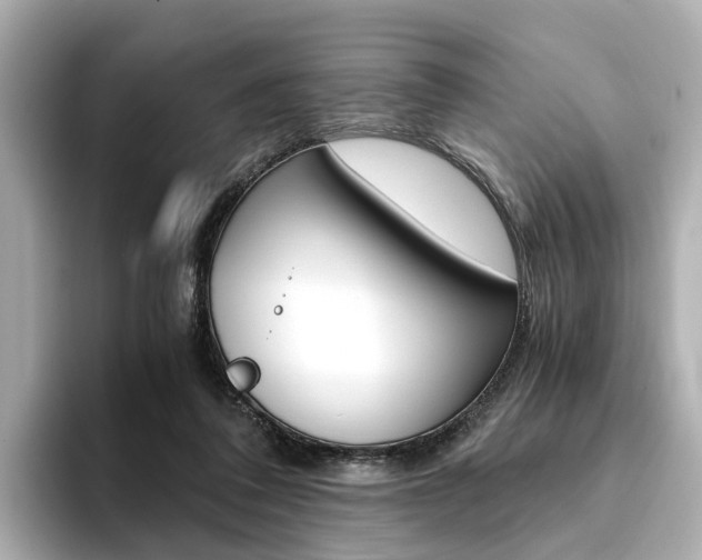 X0000094370308200711020759