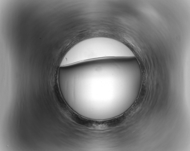 X0000094370311200711020758