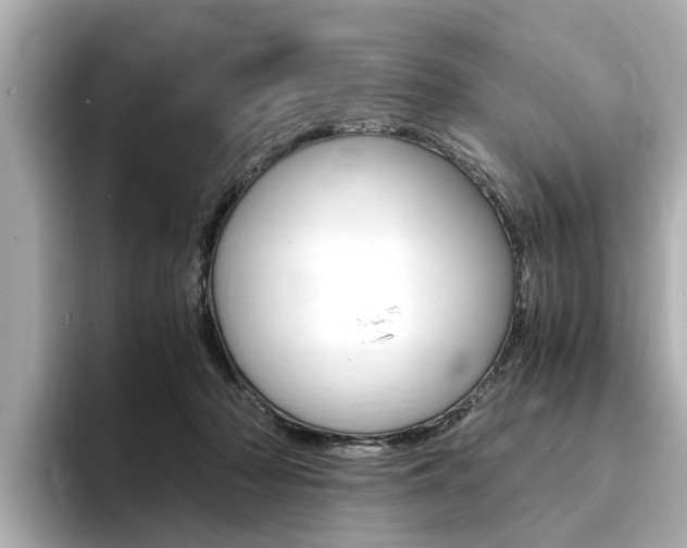 X0000094370318200711020758