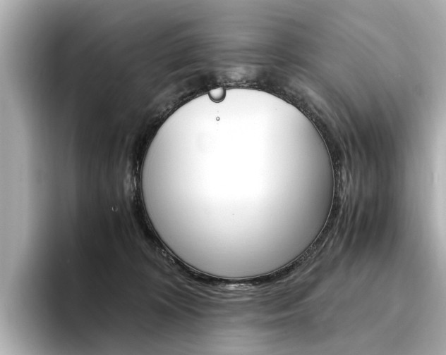 X0000094370324200711020758