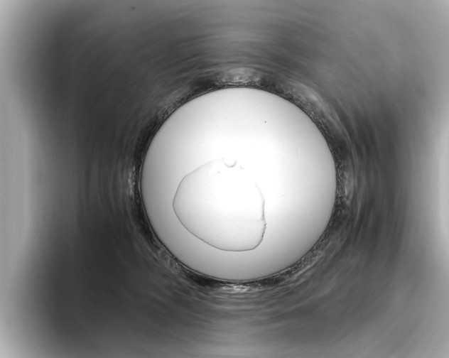 X0000094370326200711020758